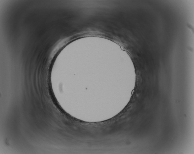 X0000096960007200803071101