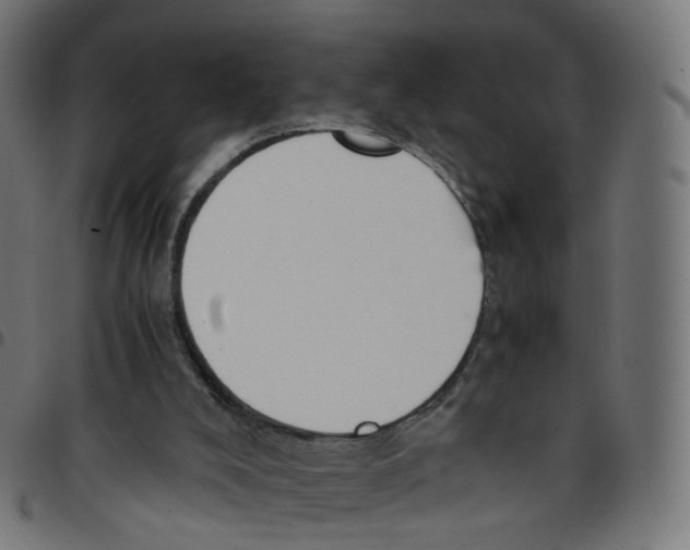 X0000096960008200803071101