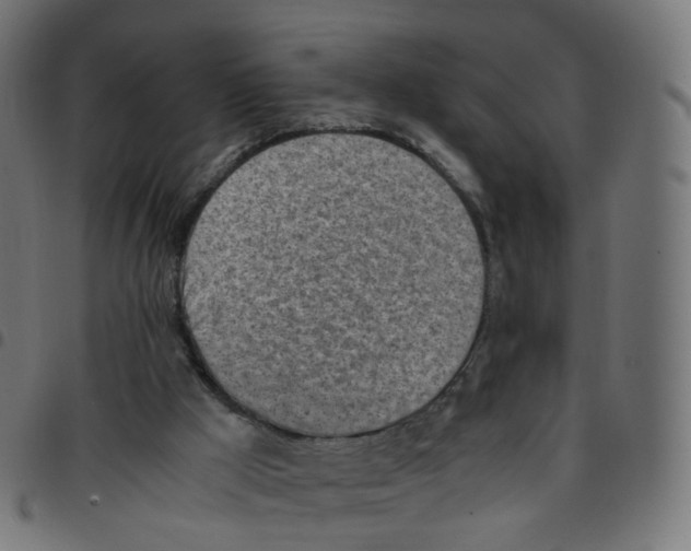 X0000096960009200803071101