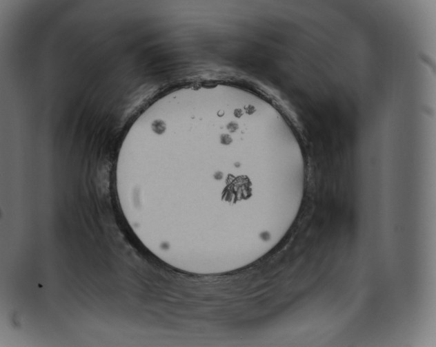 X0000096960010200803071101