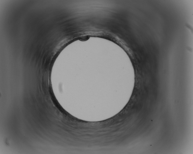 X0000096960011200803071101