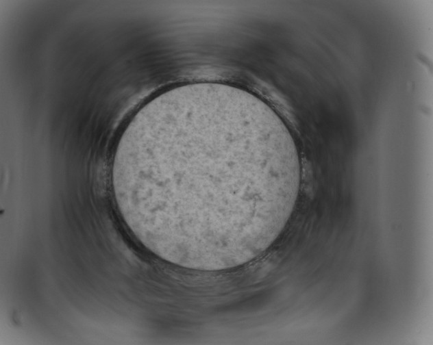 X0000096960012200803071101