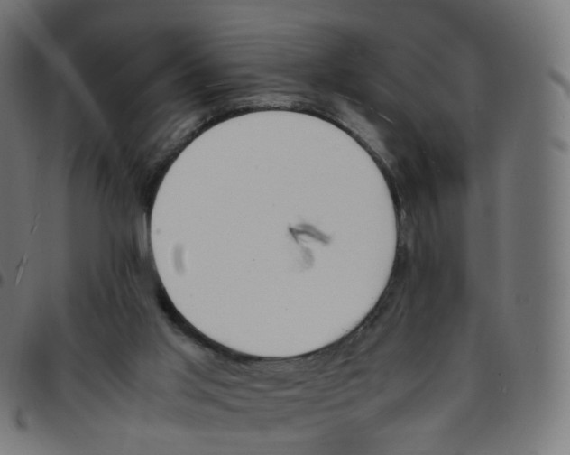 X0000096960013200803071101