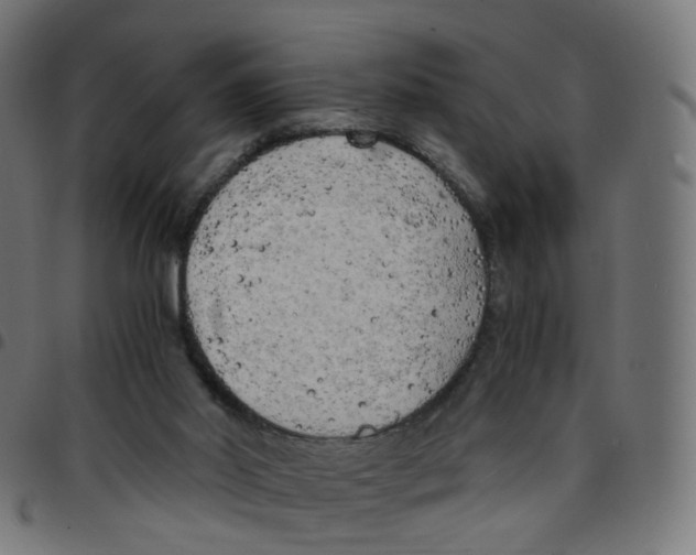 X0000096960014200803071101