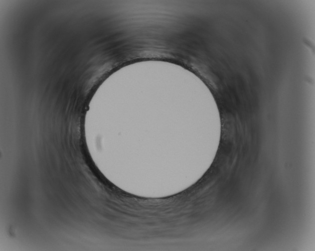 X0000096960015200803071101