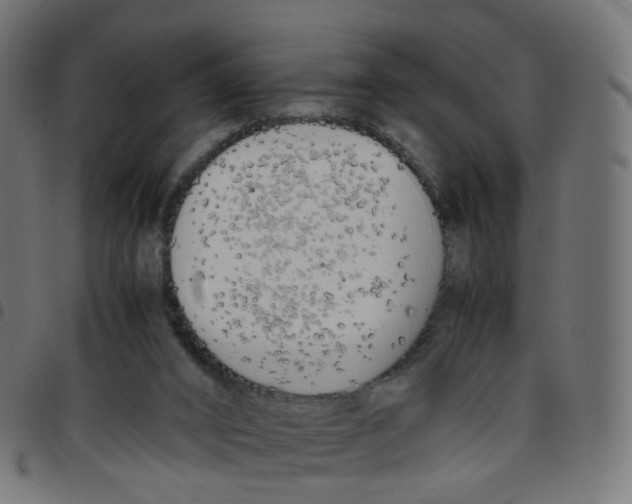 X0000096960016200803071101