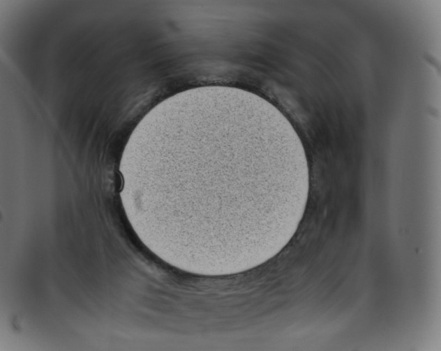 X0000096960017200803071101