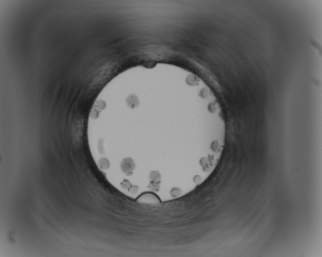 X0000096960018200803071101