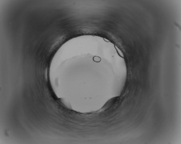 X0000096960019200803071101