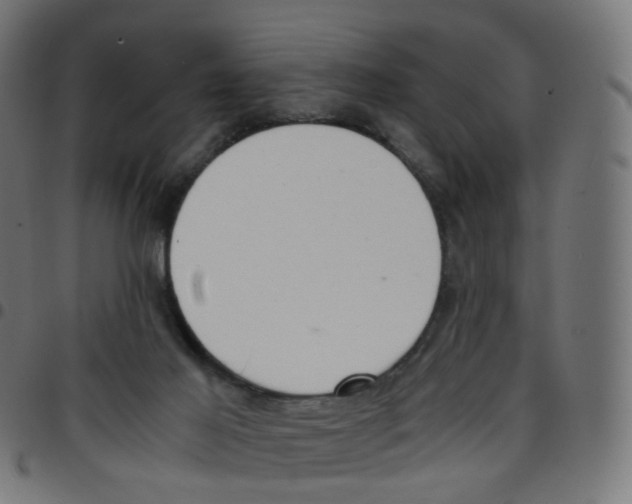 X0000096960021200803071101