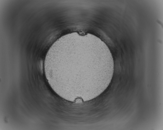 X0000096960022200803071101