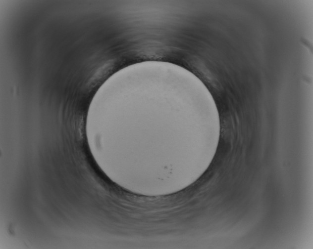 X0000096960023200803071101