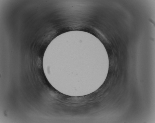 X0000096960025200803071101