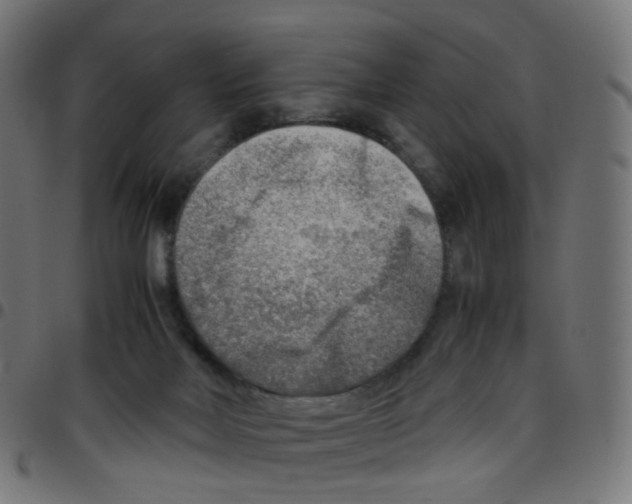 X0000096960026200803071101