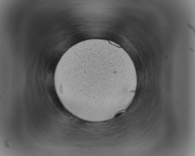 X0000096960029200803071101