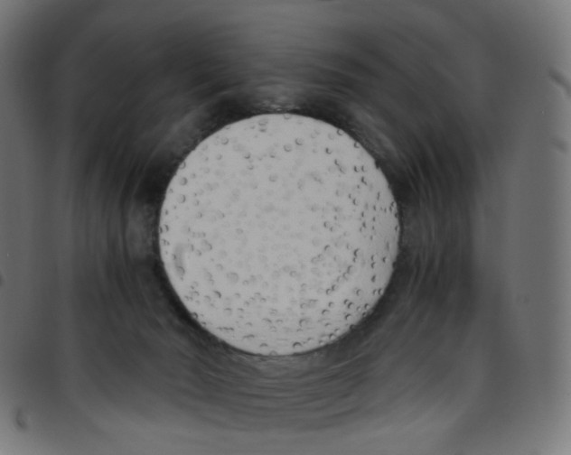 X0000096960030200803071101