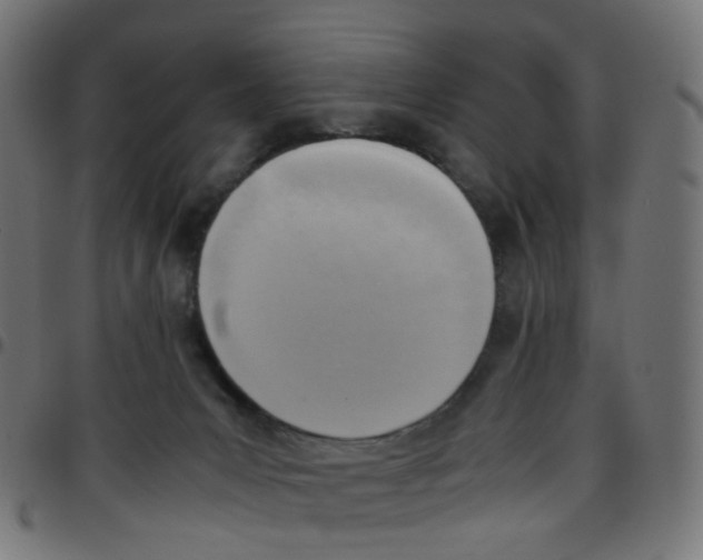 X0000096960031200803071101