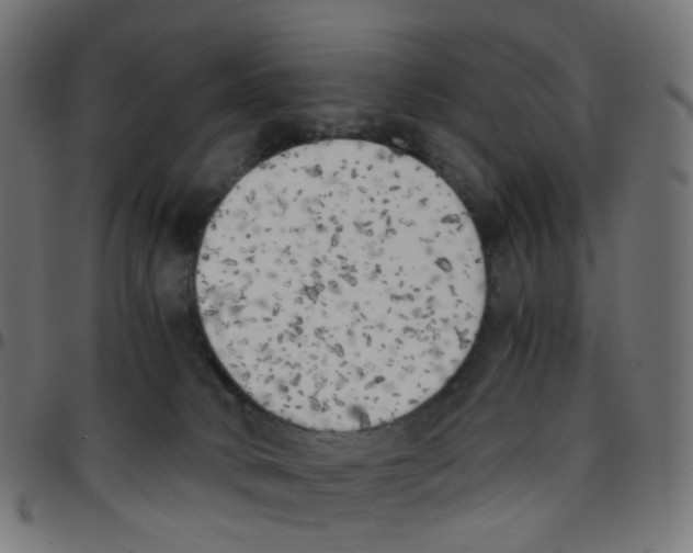 X0000096960034200803071101