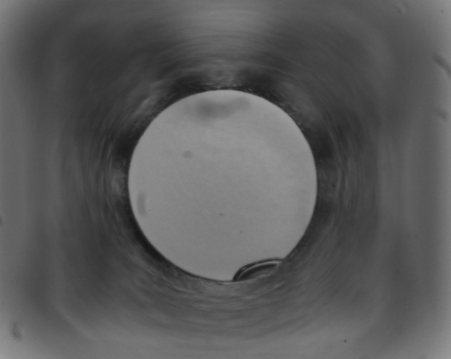 X0000096960035200803071101