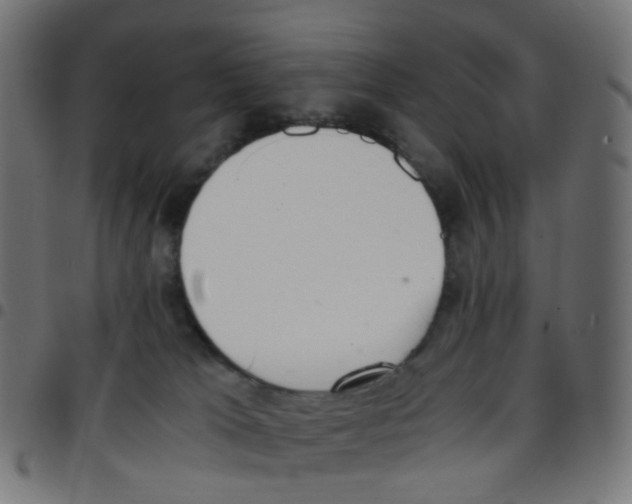 X0000096960037200803071101