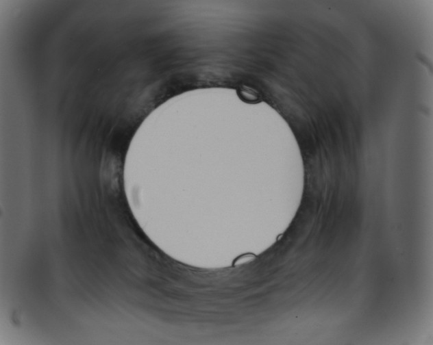 X0000096960038200803071101