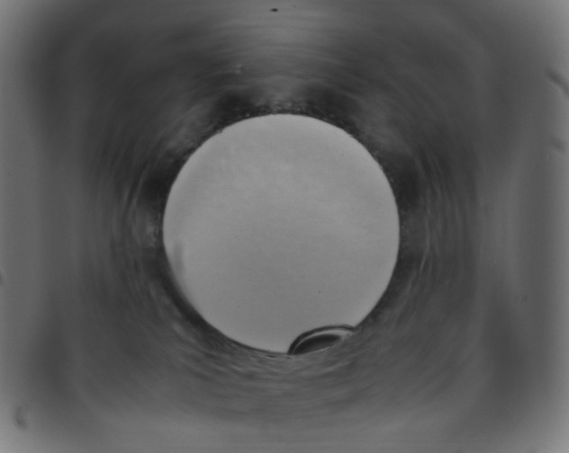 X0000096960039200803071101