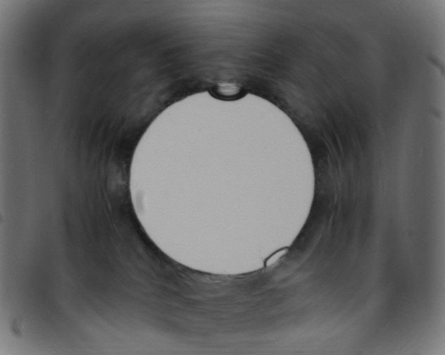 X0000096960040200803071101