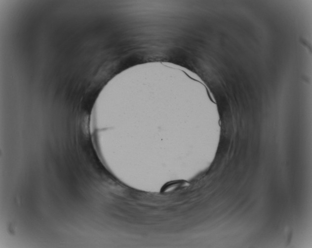 X0000096960041200803071101