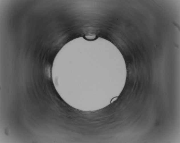 X0000096960042200803071101