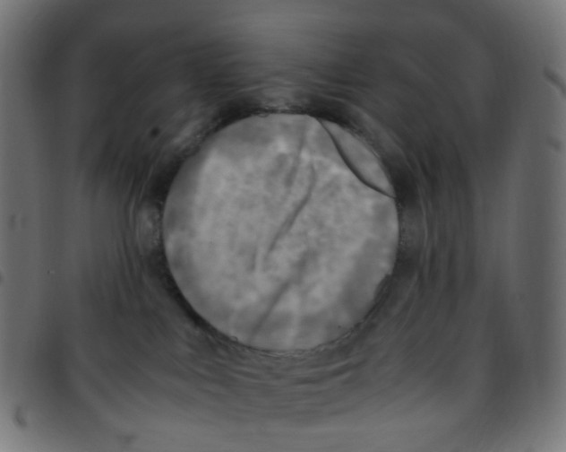 X0000096960043200803071101