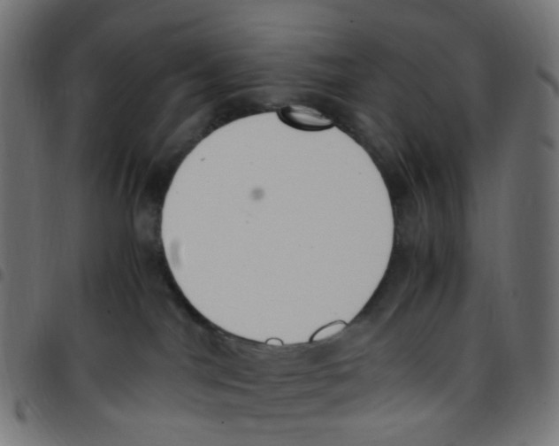 X0000096960044200803071101