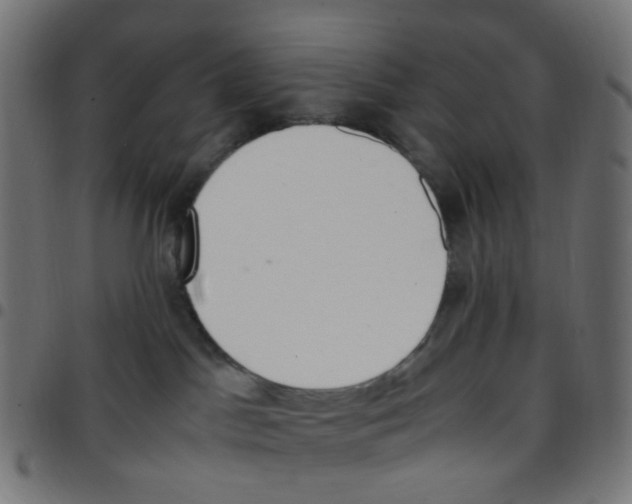 X0000096960045200803071101