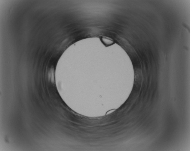 X0000096960046200803071101