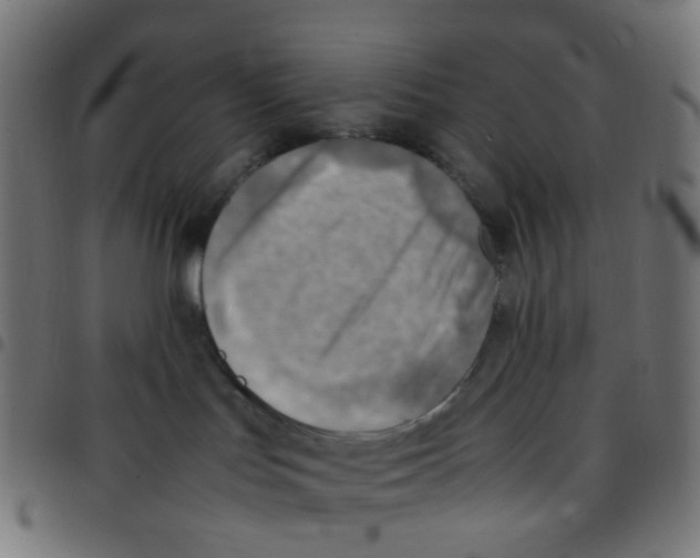 X0000096960047200803071101