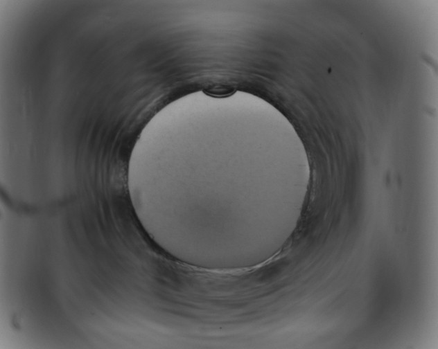 X0000096960048200803071101