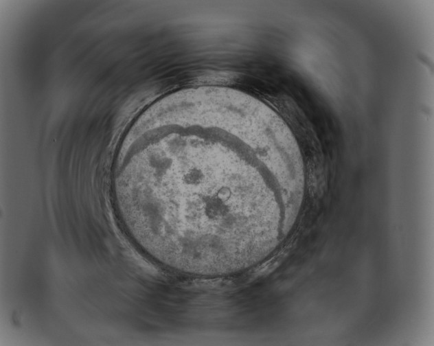 X0000096960049200803071100