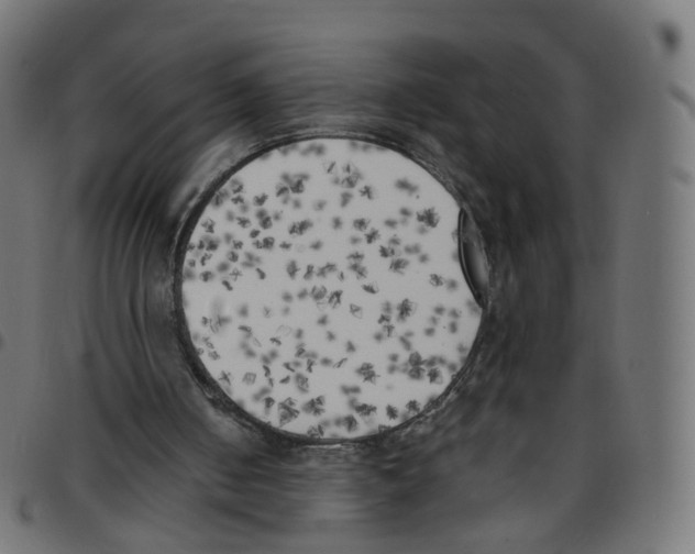 X0000096960050200803071100