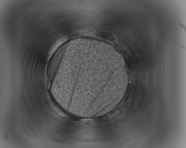 X0000096960052200803071100