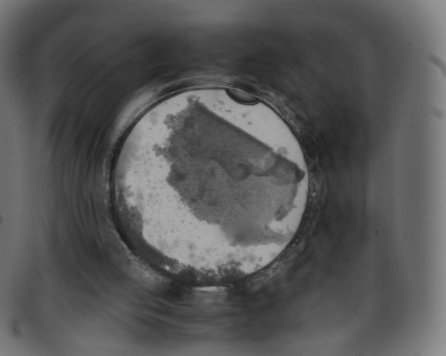 X0000096960053200803071100