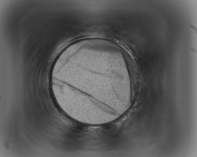 X0000096960055200803071100