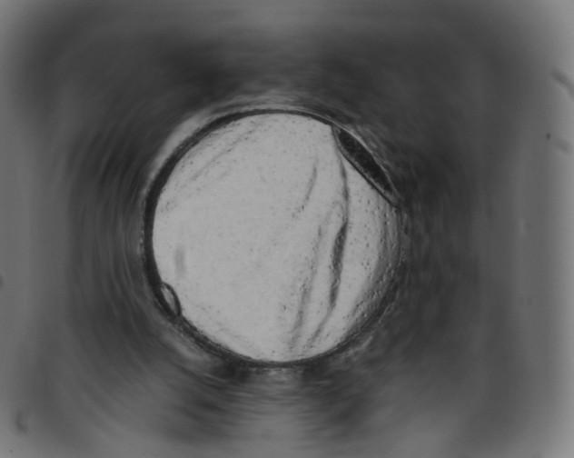 X0000096960056200803071100