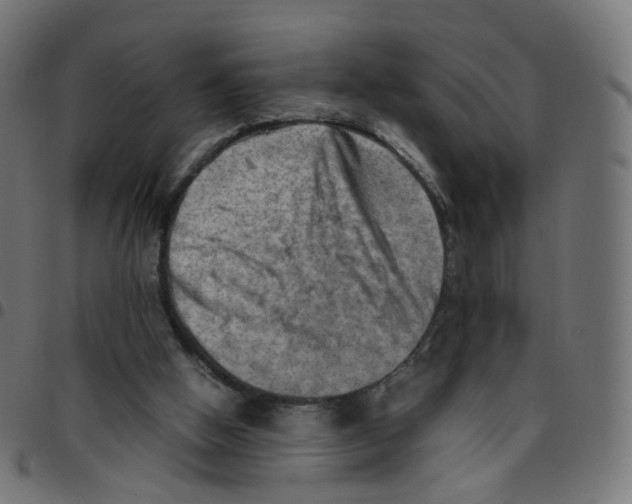 X0000096960058200803071100