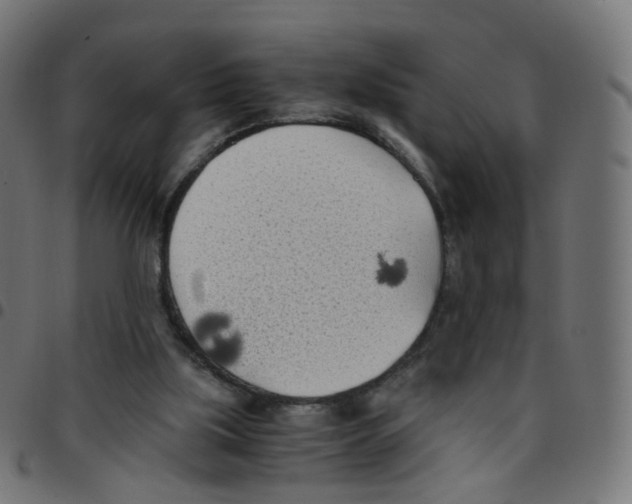 X0000096960059200803071100