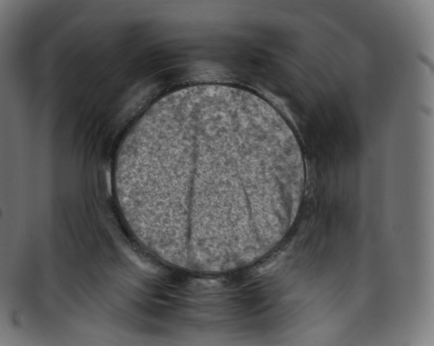 X0000096960061200803071100