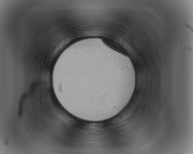 X0000096960064200803071100