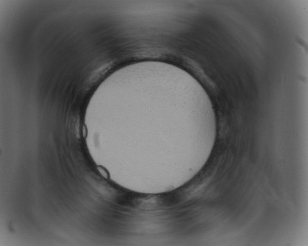 X0000096960068200803071100