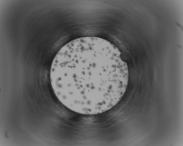 X0000096960071200803071100