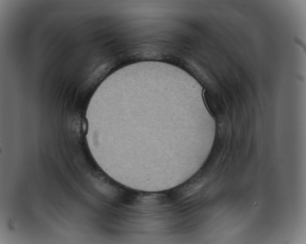 X0000096960072200803071100