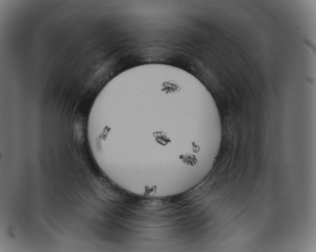 X0000096960074200803071100