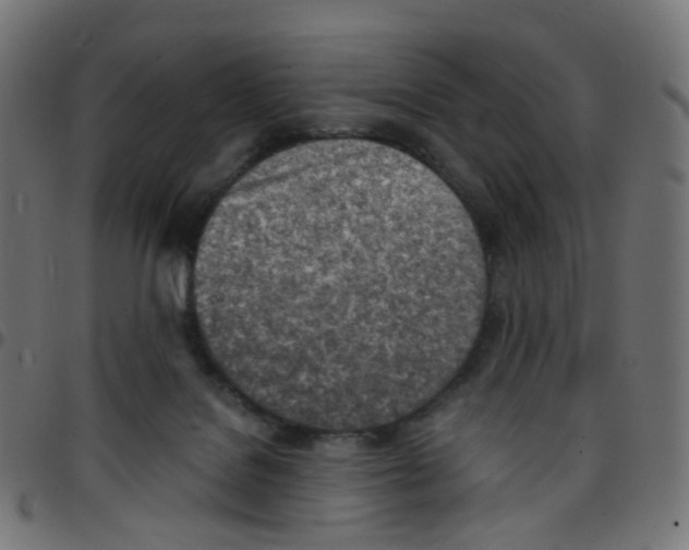 X0000096960076200803071100